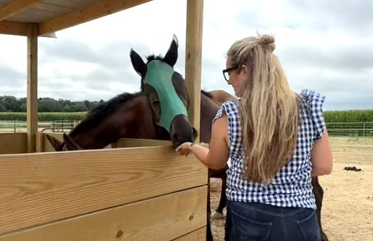 Tea Time with Horses