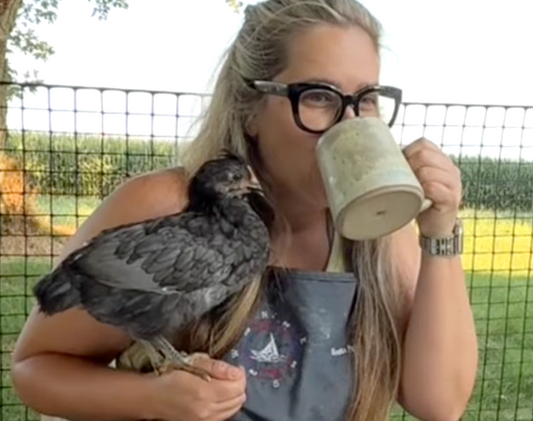 Tea with Chickens